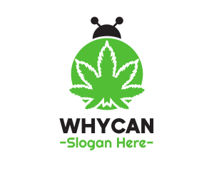 Green Cannabis Bug logo design