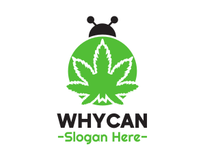 Green Cannabis Bug logo design