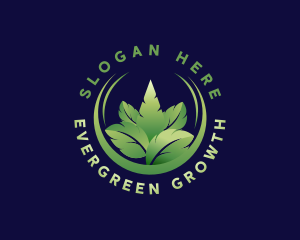 Leaf Plant Eco Farm logo design