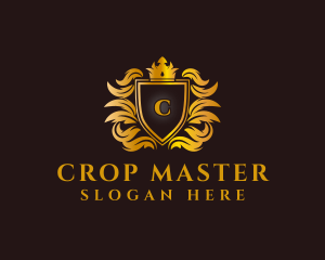 Premium Crown Crest logo design