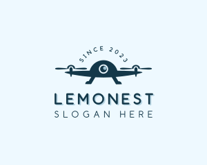 Birds Eye - Drone Photography Camera logo design