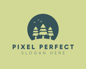 Pine Tree Sunset  logo design