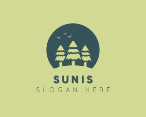 Pine Tree Sunset  logo design