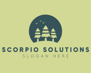 Pine Tree Sunset  logo design