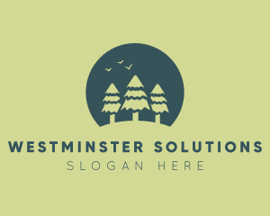 Pine Tree Sunset  logo design