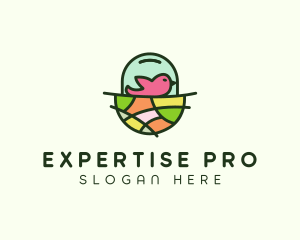 Colorful Bird Nest  logo design