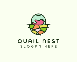 Colorful Bird Nest  logo design