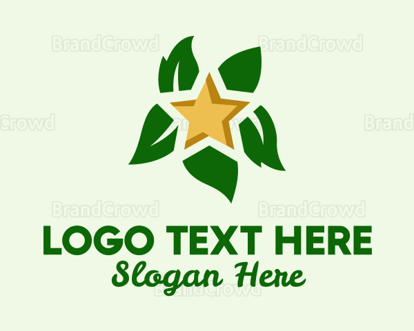 Natural Leaf Star Logo