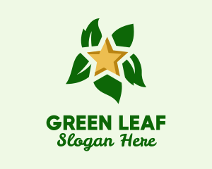 Natural Leaf Star  logo design