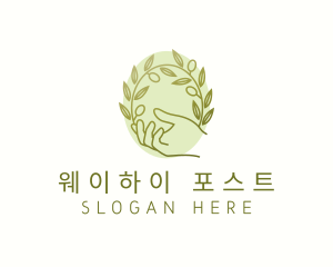 Organic Olive Plant logo design