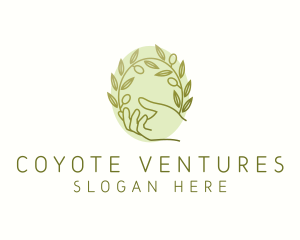 Organic Olive Plant logo design