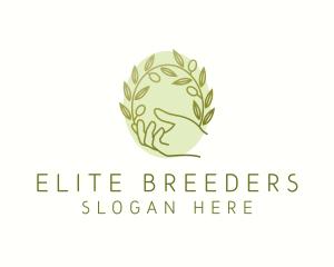 Organic Olive Plant logo design