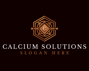 Luxury Decorative Hexagon logo design