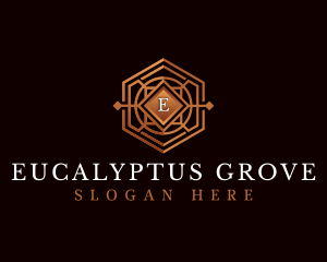 Luxury Decorative Hexagon logo design