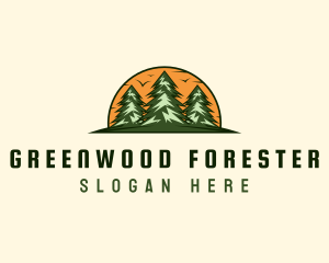 Pine Forest Adventure logo design