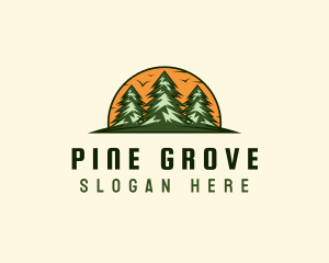 Pine Forest Adventure logo design