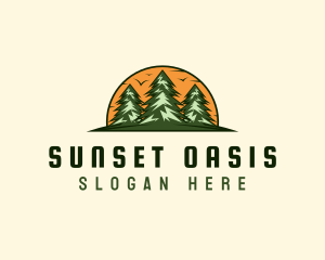 Pine Forest Adventure logo design