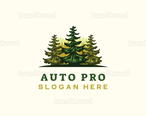 Forest Outdoor Tree Logo