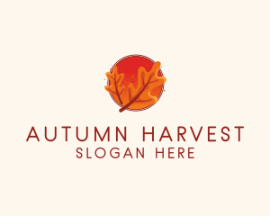 Autumn Season Leaves logo design