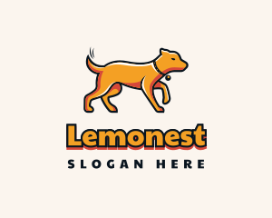 Owner - Orange Pet Dog Trainer logo design