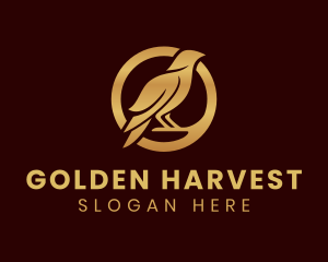 Golden - Golden Raven Bird logo design