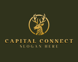 Deer Stag Finance logo design