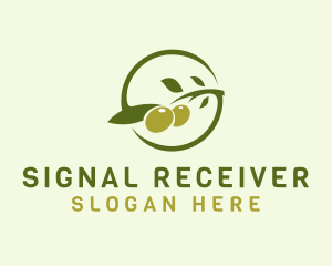 Green Olive Letter S  logo design