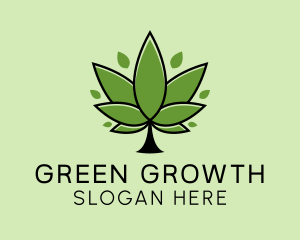 Medical Weed Plant  logo design