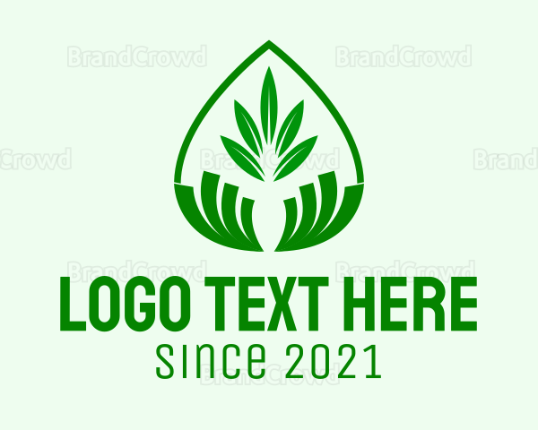 Green Plant Droplet Logo
