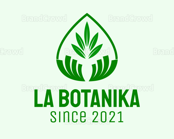 Green Plant Droplet Logo
