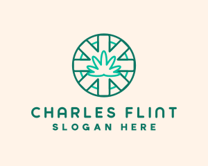 Medicinal Cannabis Leaf logo design