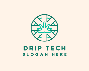 Medicinal Cannabis Leaf logo design