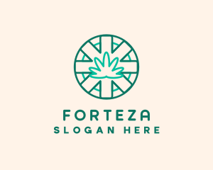 Medicinal Cannabis Leaf logo design