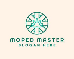 Medicinal Cannabis Leaf logo design