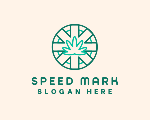 Medicinal Cannabis Leaf logo design