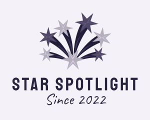 Purple Star Fireworks  logo design