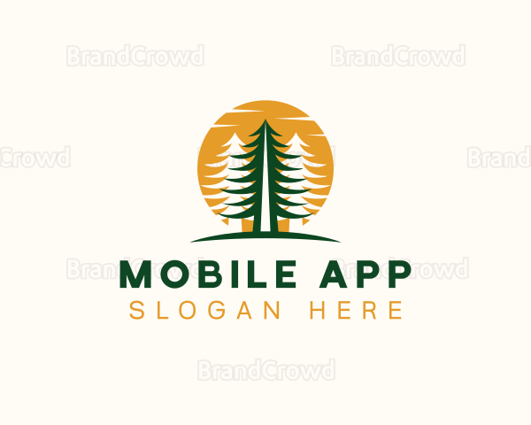 Pine Tree Forest Park Logo