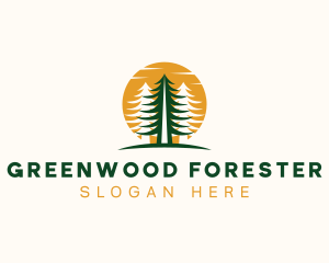 Pine Tree Forest Park logo design