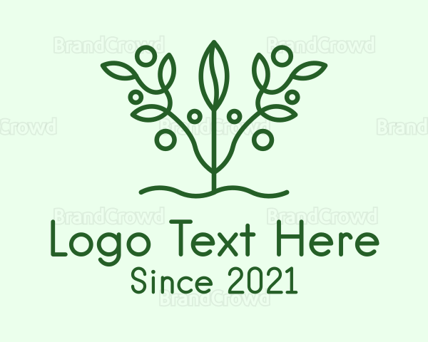 Green Symmetric Herb Logo
