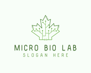 Maple Leaf Bioengineering  logo design