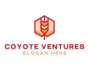 Red Wheat Hexagon logo design