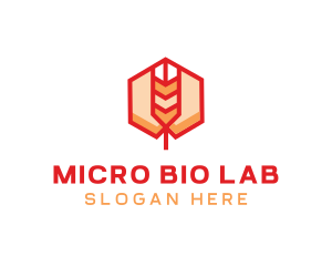 Red Wheat Hexagon logo design