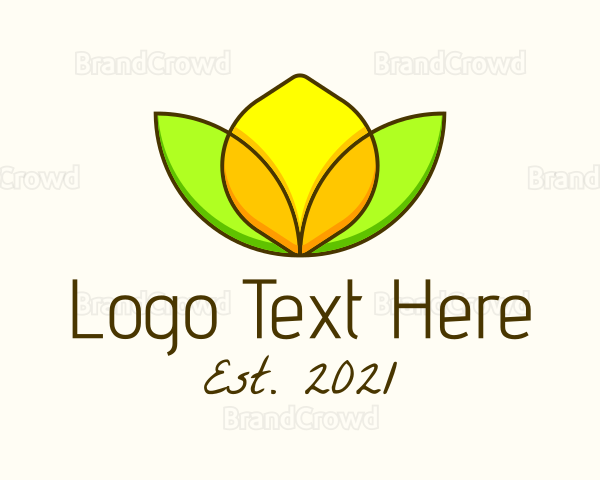 Minimalist Lemon Design Logo