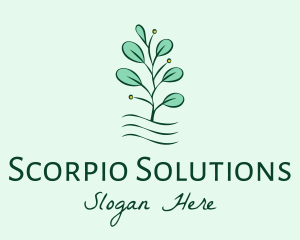 Plant Seedling Garden logo design