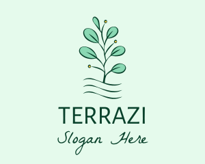 Plant Seedling Garden logo design