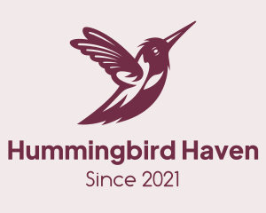 Wild Hummingbird Wings logo design