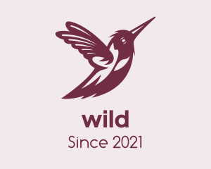 Wild Hummingbird Wings logo design