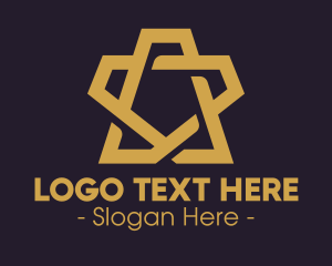 Unique - Modern Brown Star logo design