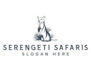 Lioness Safari Lion logo design