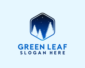 Evergreen - Winter Pine Tree logo design